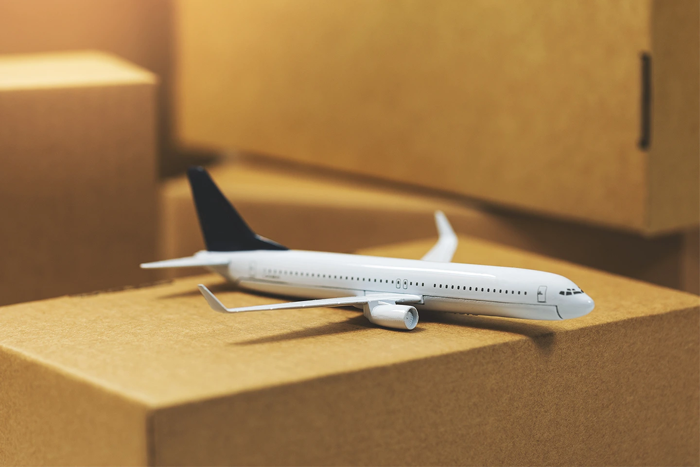 Cargo Transportation